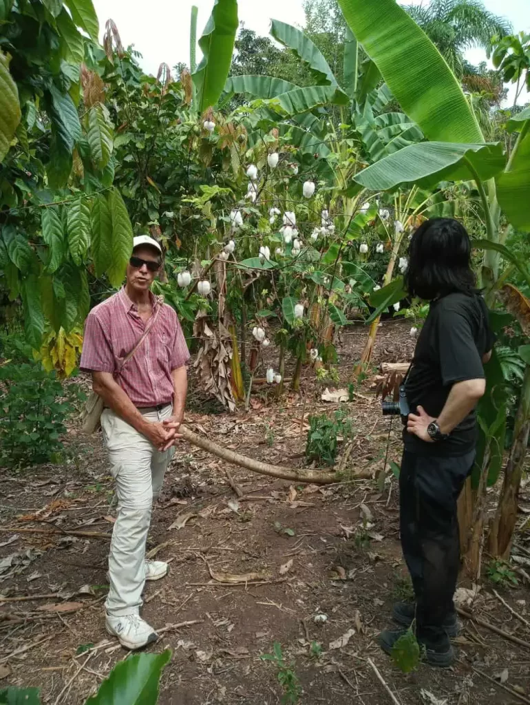 Two men observing native cotton plants growing among tropical vegetation.