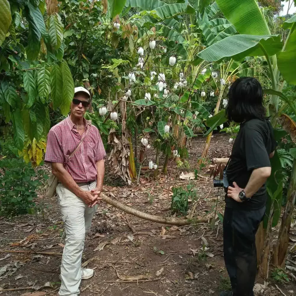 Two men observing native cotton plants growing among tropical vegetation.