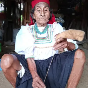 Elder woman spinning native brown cotton by hand using a traditional spindle.