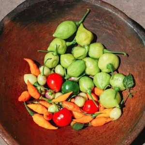Assorted jungle peppers in a clay bowl used as natural insecticides