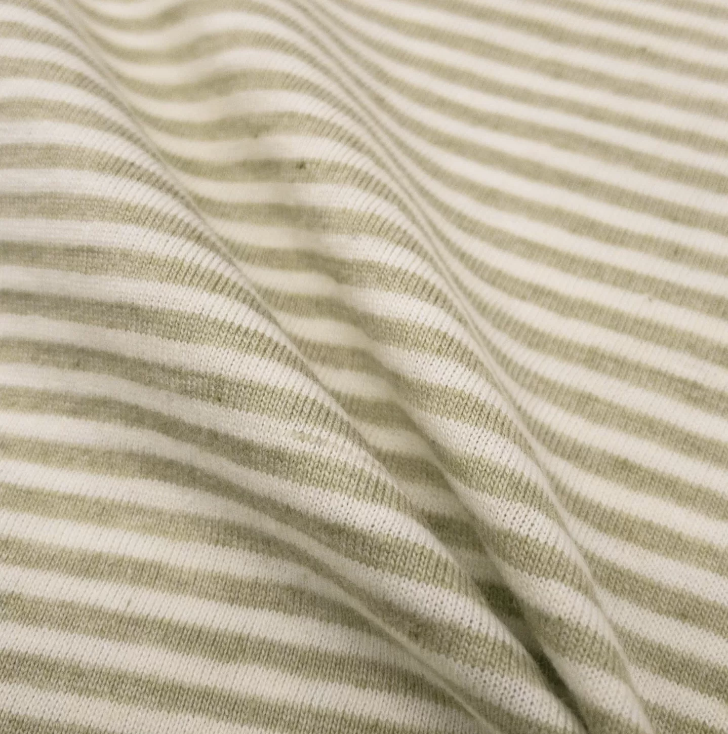 Organic Cotton Jersey Stripes